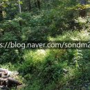 손덕문 공인중개사사무소 이미지