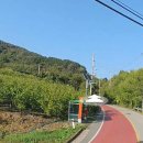 영천남부공인중개사사무소 이미지