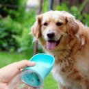 왕대박PC | 휴대용 강아지 물통 원터치 급수기 한 달 써보니