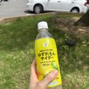 아싸리 라멘 | 마쓰야마 4박5일 여행🏯 1일차 일정 (오카이도 근처 라멘집, 카페, 베이커리, 미술관, 야끼니꾸 맛집)