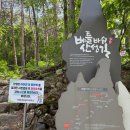 계곡힐링스카이 | 삼척 무릉별유천지 위치 주차 가격 스카이글라이더 액티비티 후기