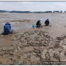 마검포레져하우스가족독채수영장 이미지