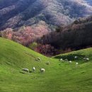 누리목장 이미지