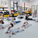 국가대표 다산 태권도장 이미지