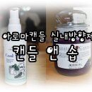 소이앤솝