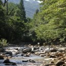 도림천화장실 이미지