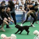 제일바이오펫 네이버블로그