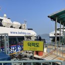 다잇소마트 | 백패킹 3대성지 - 굴업도 백패킹 여행기 2편 &lt;굴업도 가는 법, 텐트, 사슴 등&gt;