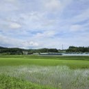 바로미 경기경제신문