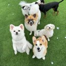 루이야 놀고 자고 GO 이미지