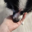 정구농장 이미지