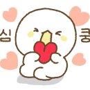 트리덴탈 이미지