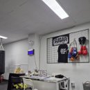 슈가복싱클럽 이미지