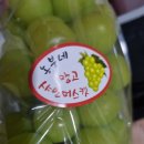 부흥청과