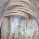 대교강냉이 이미지