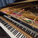 현 피아노 교습소 이미지