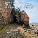 용천낚시 - 제주시 임항로 64 | 장고항 차박 캠핑, 당진 용천굴 숨은 명소 발견(ft. 물때, 회센터)