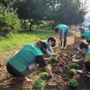 온양4동 온천대로 이미지