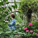 무주읍209 이미지