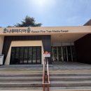 속리산테마파크 소나무미디어숲 미디어아트와 앵무새 식물원 후기