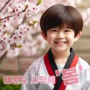 올바른 태권도 이미지