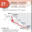 부구교 티스토리