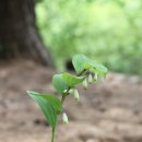 병화농장 이미지