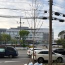 델타2빌딩 | 구로구청 앞 여권사진 만원? 가성비 끝판왕 구로 사진관 솔직후기
