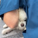 (주)헤븐스카이 | 일상 EP.10 - 저는 좋아해요 (최근의 책상 위 물건들, 메가X위시 추천 메뉴, 원두 홀빈 추천)