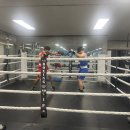 판교더복싱 이미지