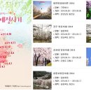 2014년 벚꽃개화시기와 벚꽃축제일... 이미지