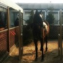 초원헬스클럽 이미지