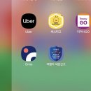 나도 고양이 생겼다 | 바리 근교 소도시 알베로벨로 유네스코 트룰리마을 방문후기! 스머프마을인 줄 알았는데 고양이마을인..