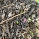 혜숙농장 이미지