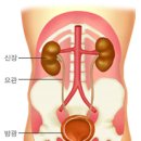 다니엘종합병원 이미지