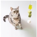 맛동산PC | 고양이 모래 수거업체 비교+정보