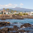 포내어촌체험휴양마을 이미지