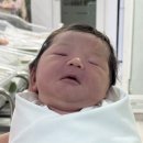 신여성병원 | 신여성병원 제왕절개 입원 후기 (1인실/ 6박7일 / 비용)