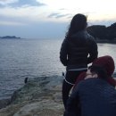 피큐투어 이미지