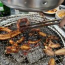 털보네꼼장어 이미지