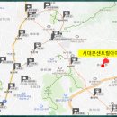 은평자연약국 이미지