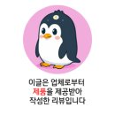 성남 실내 클라이밍장 락페이스클라이밍 초보 일일체험 후기