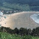 송정솔바람해변 네이버블로그