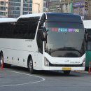 천일관광여행사
