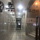위례나무동물병원