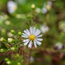 운학동 돌무지군 이미지