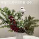 아이리스피부과의원 네이버블로그