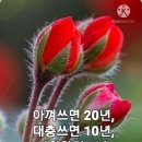 연후 이미지