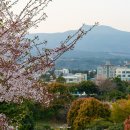 천지연 앞 이미지