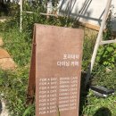 다이닝데이 이미지